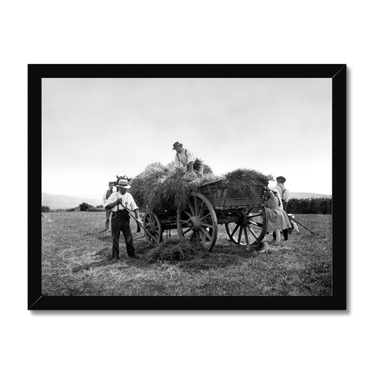 1871 Haymaking Framed Print
