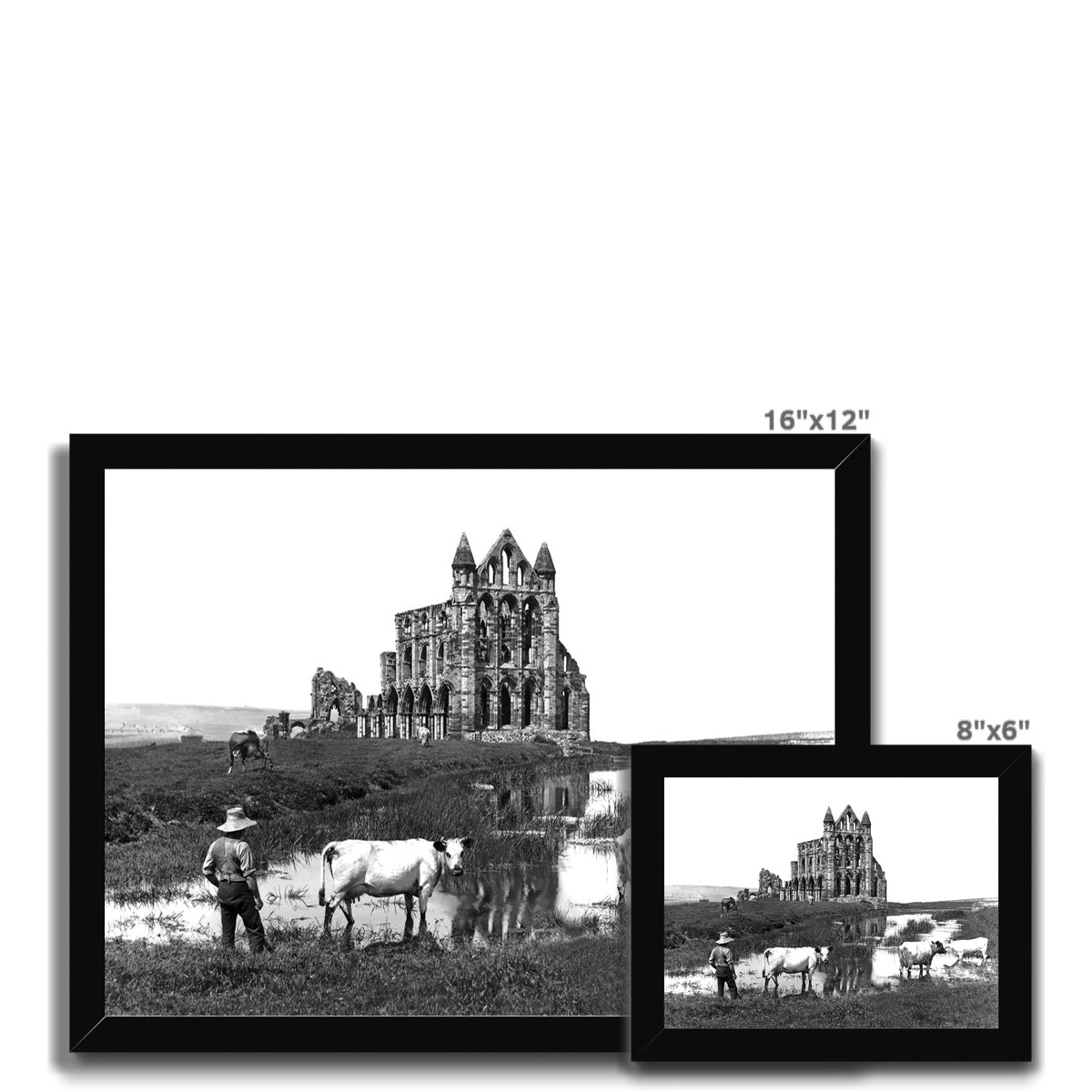 Whitby Abbey with cowman and cows Framed Print