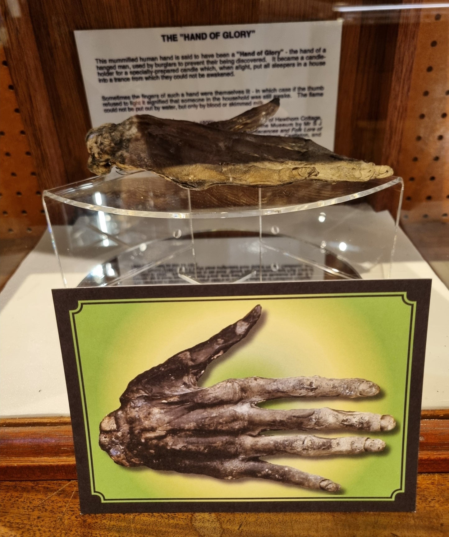 Hand of Glory Postcard