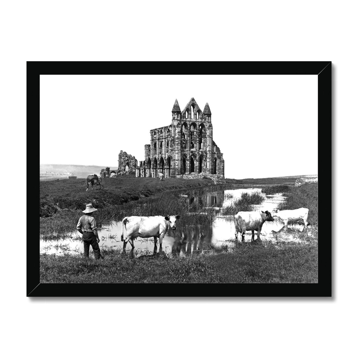 Whitby Abbey with cowman and cows Framed Print