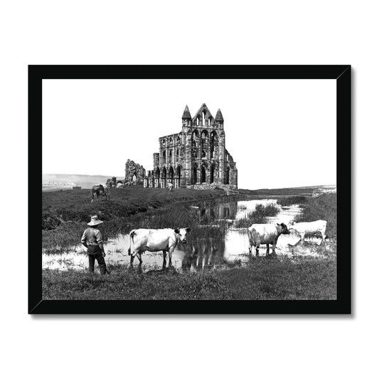 Whitby Abbey with cowman and cows Framed Print