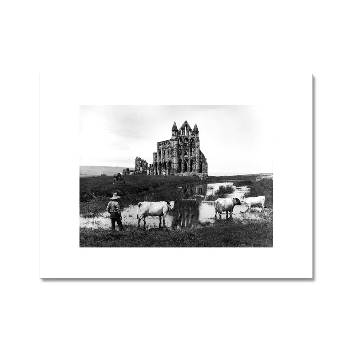 Whitby Abbey with cowman and cows C-Type Print