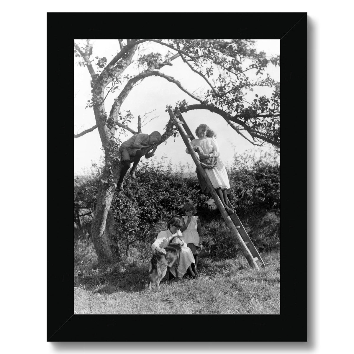 image0