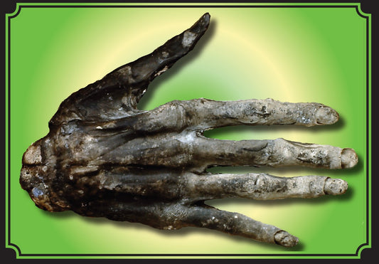 Hand of Glory Postcard